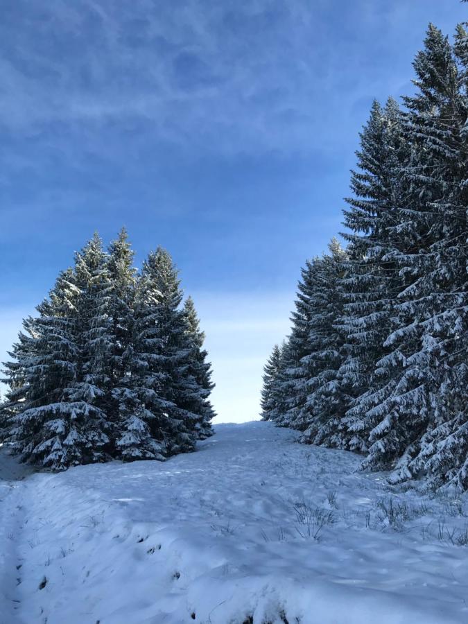 Ferienwohnung Morgentau Am Rande Der Wildnis Sibratsgfall Екстер'єр фото